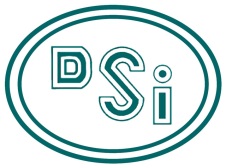 dsi logo